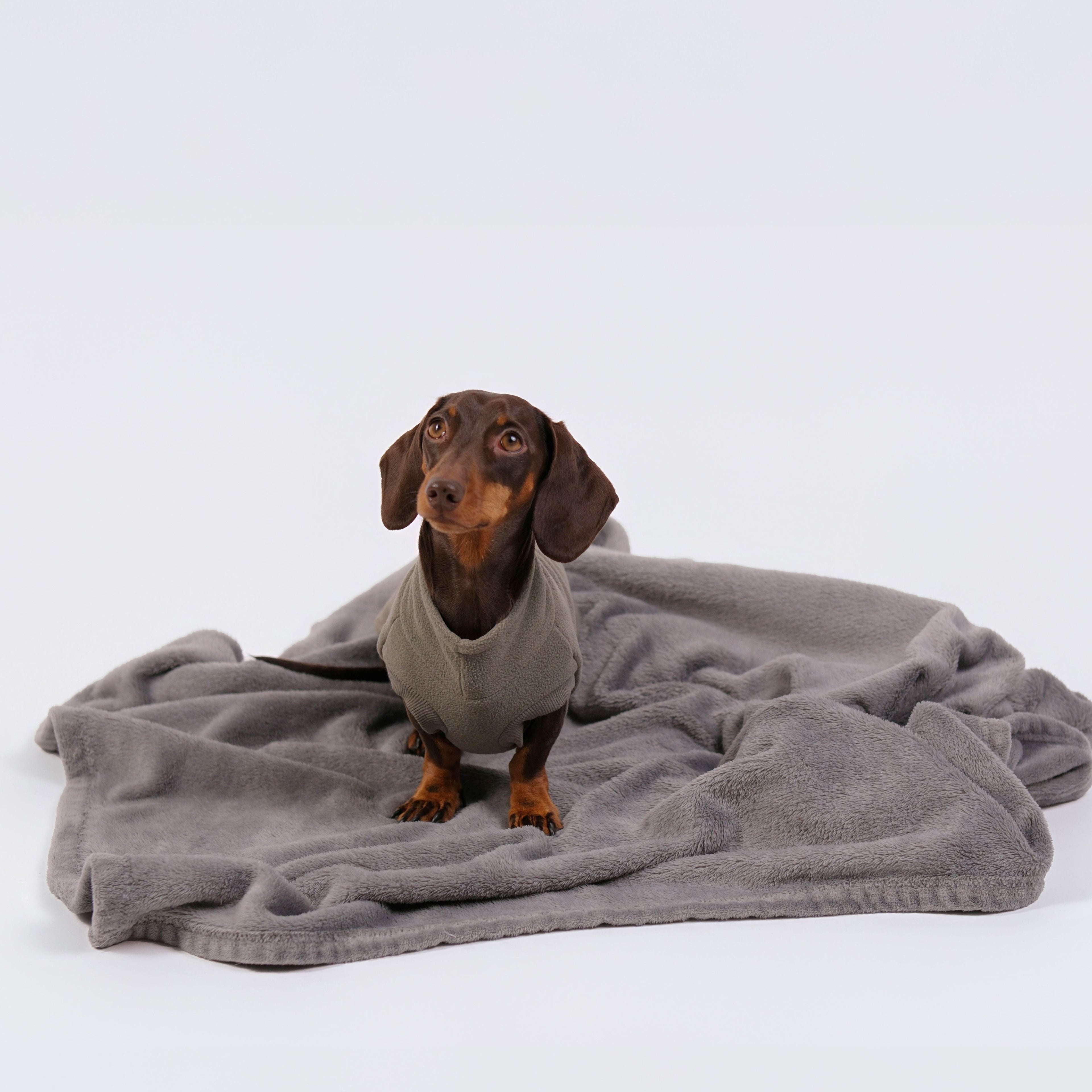 The Long Dog Fleece - Sage Grey