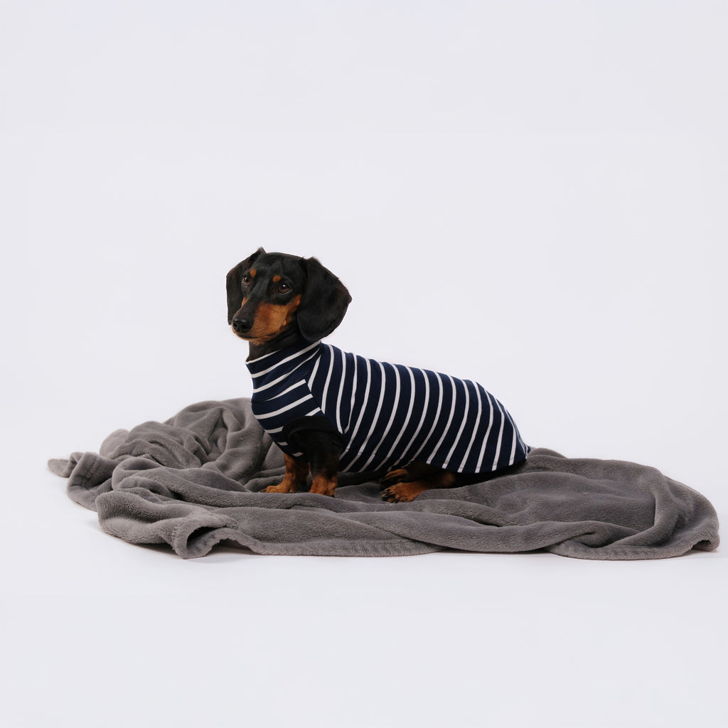 The DachLine Striped Shirt - Navy