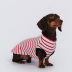 The DachLine Striped Shirt - Ruby