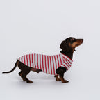 The DachLine Striped Shirt - Ruby