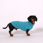 The Long Dog Fleece - Turquoise