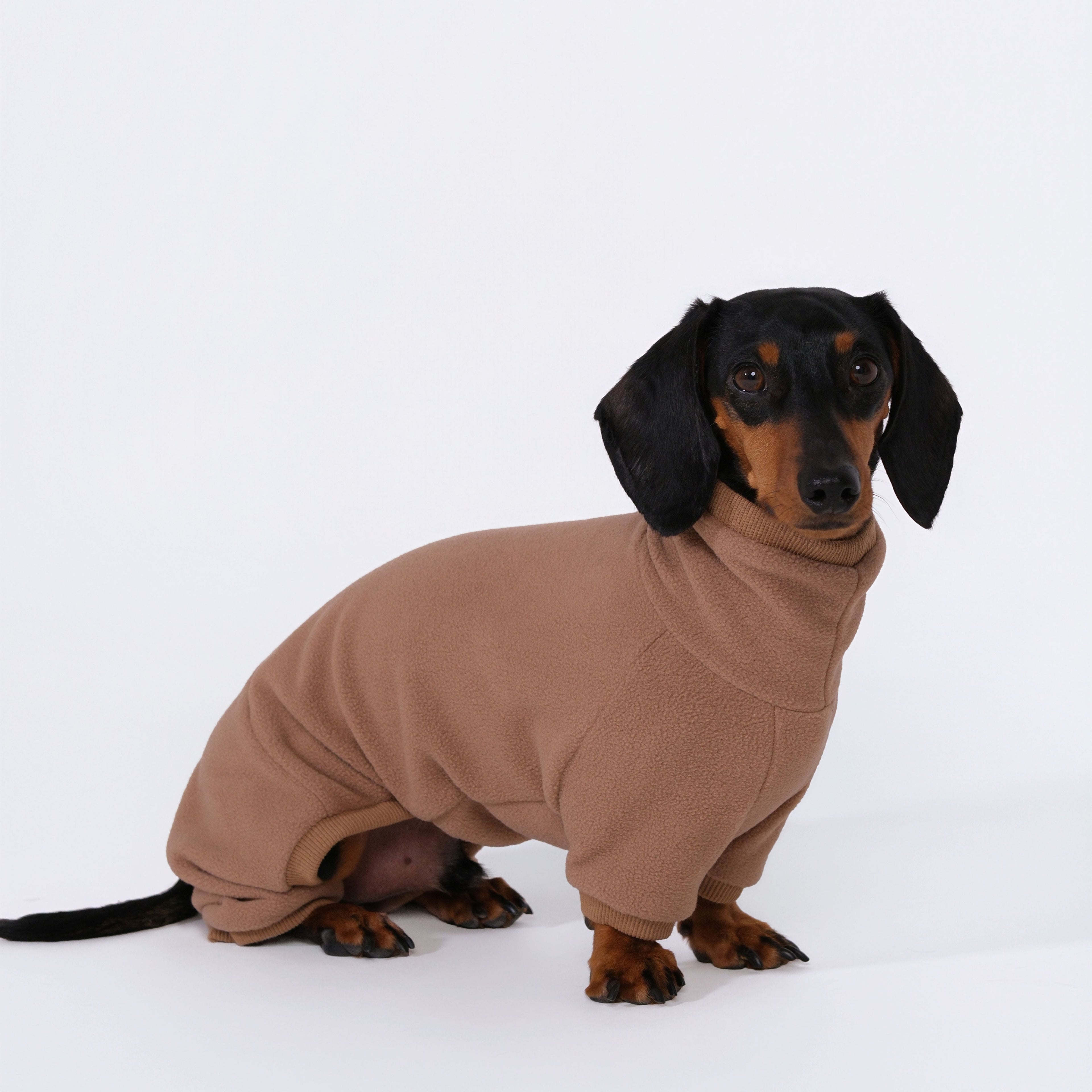 The Aero All-in-One - Teddy