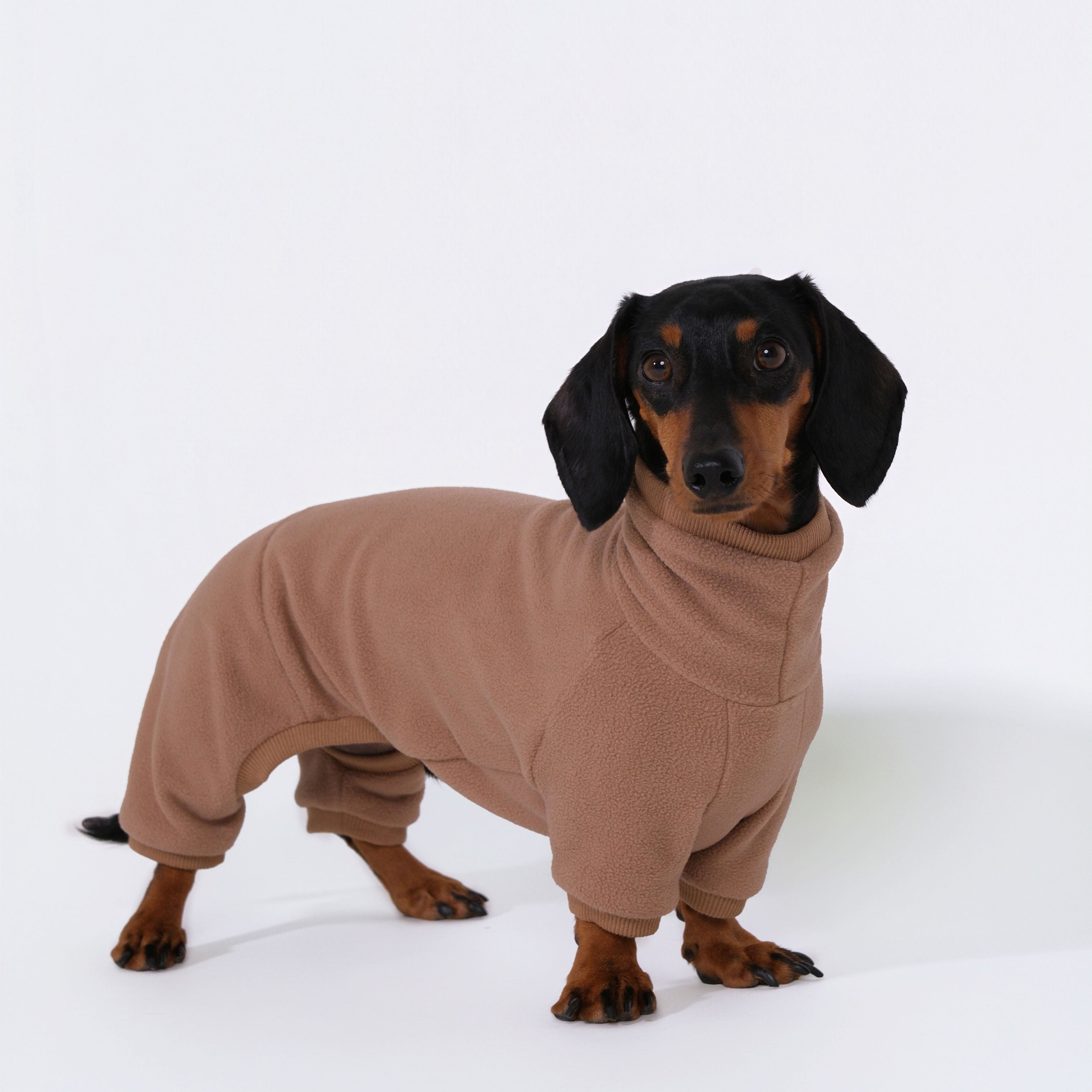 The Aero All-in-One - Teddy