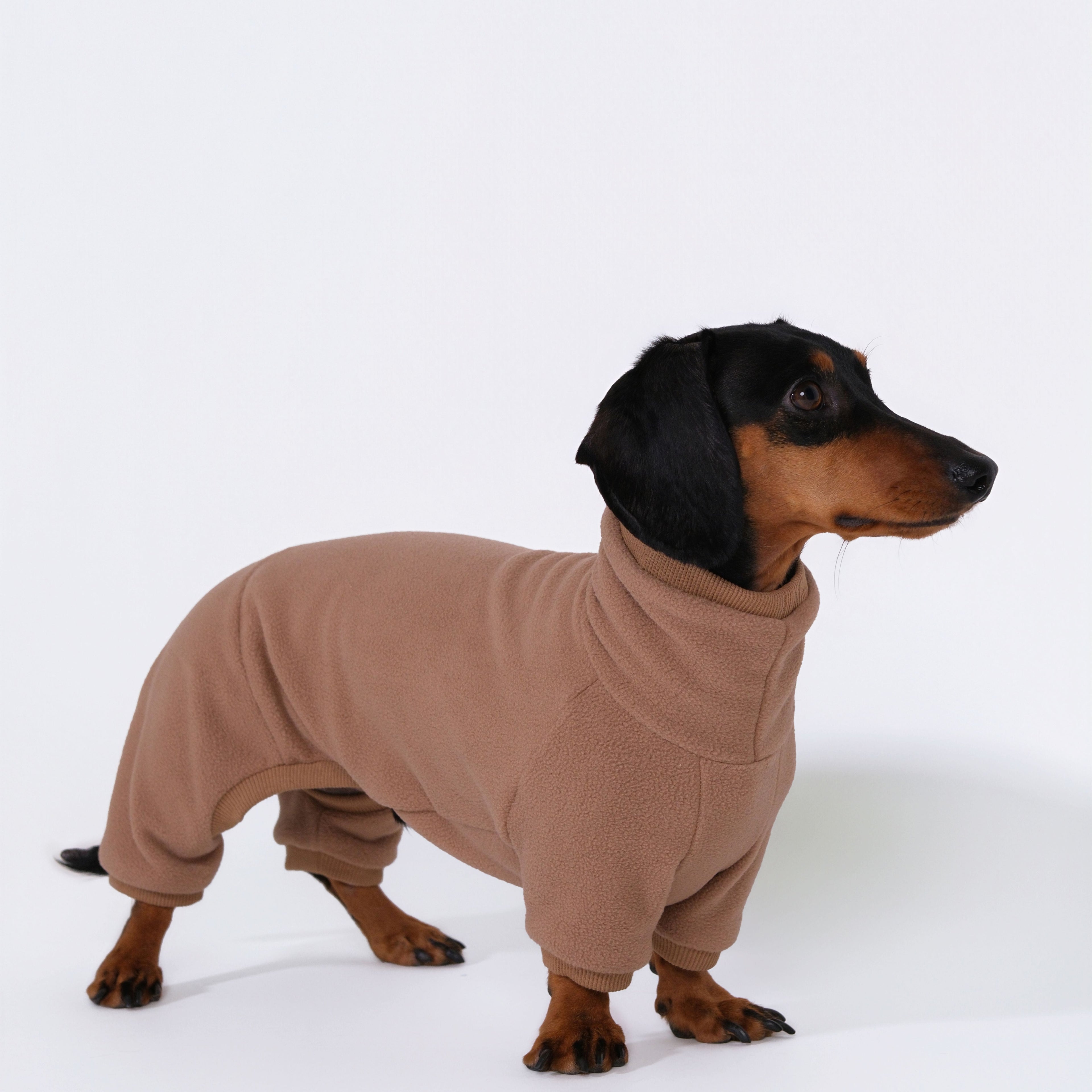 The Aero All-in-One - Teddy