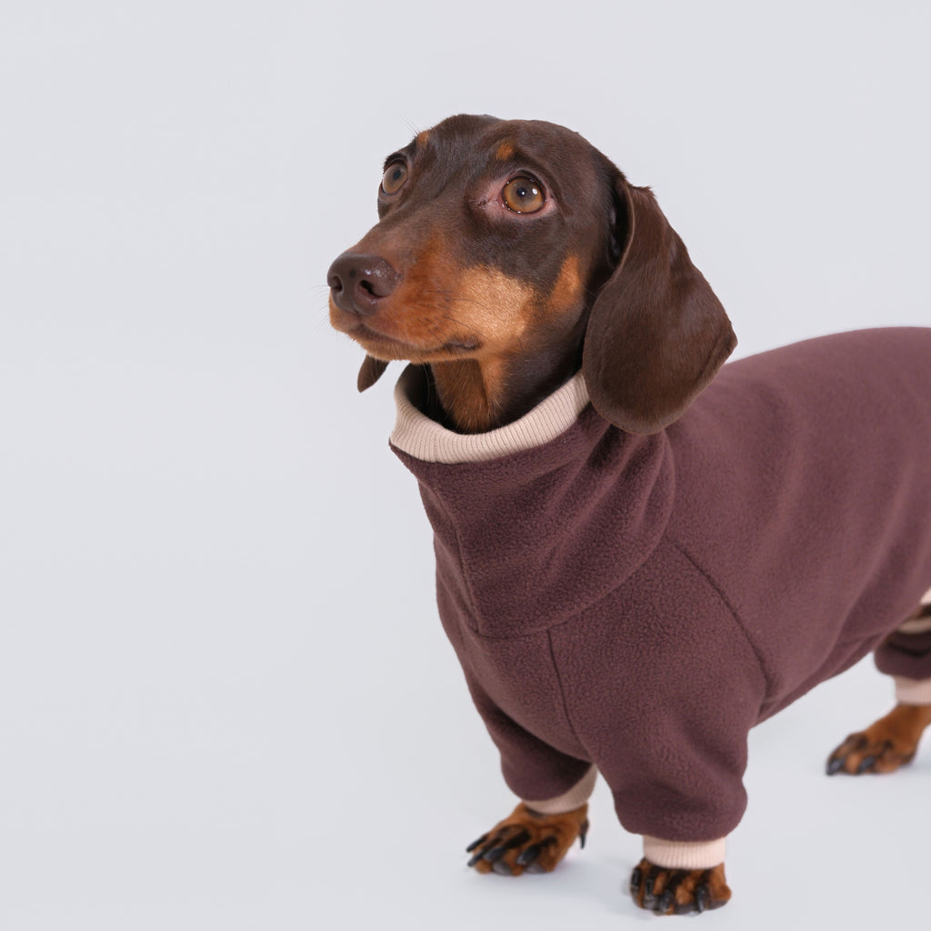 The Aero All-in-One - Mocha