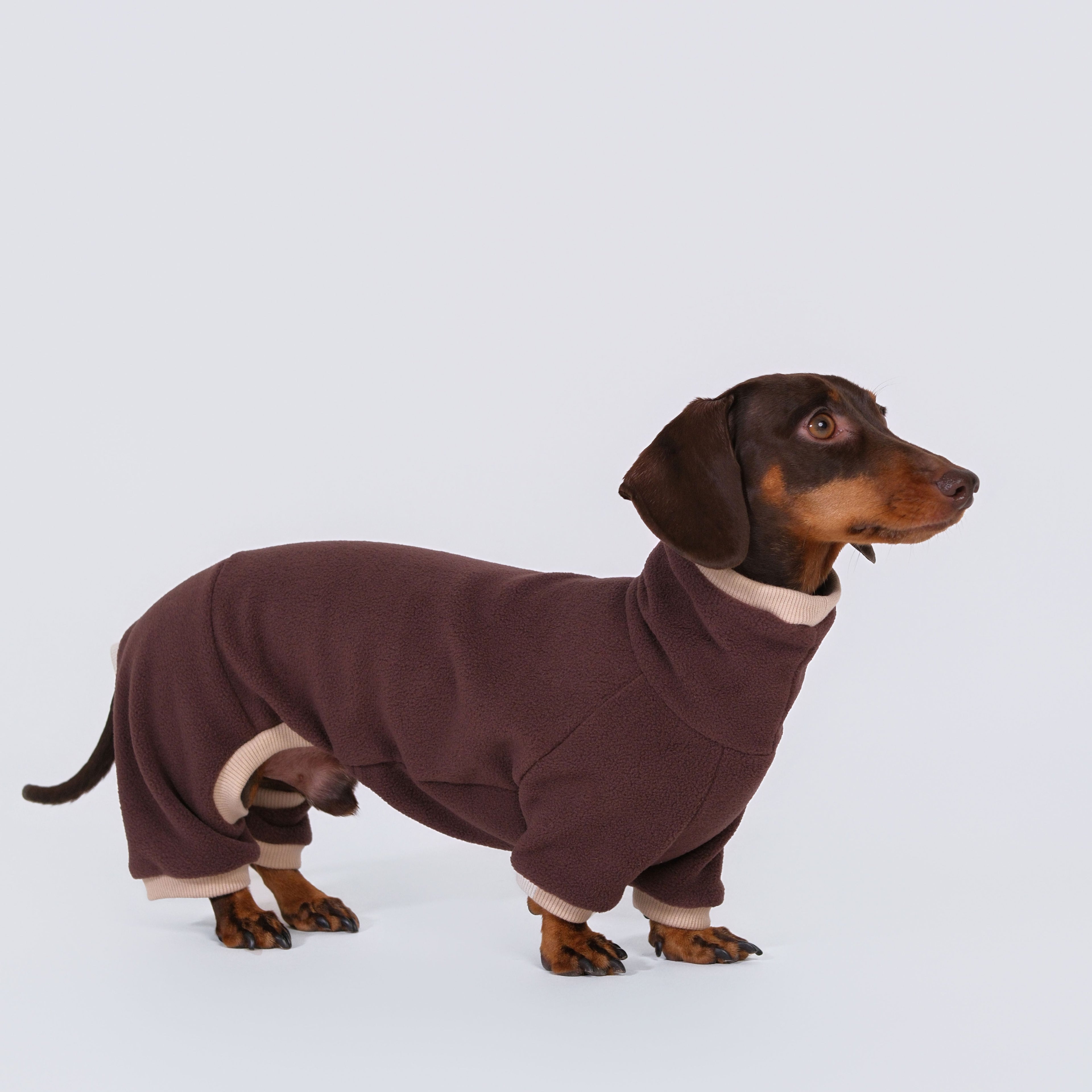 The Aero All-in-One - Mocha