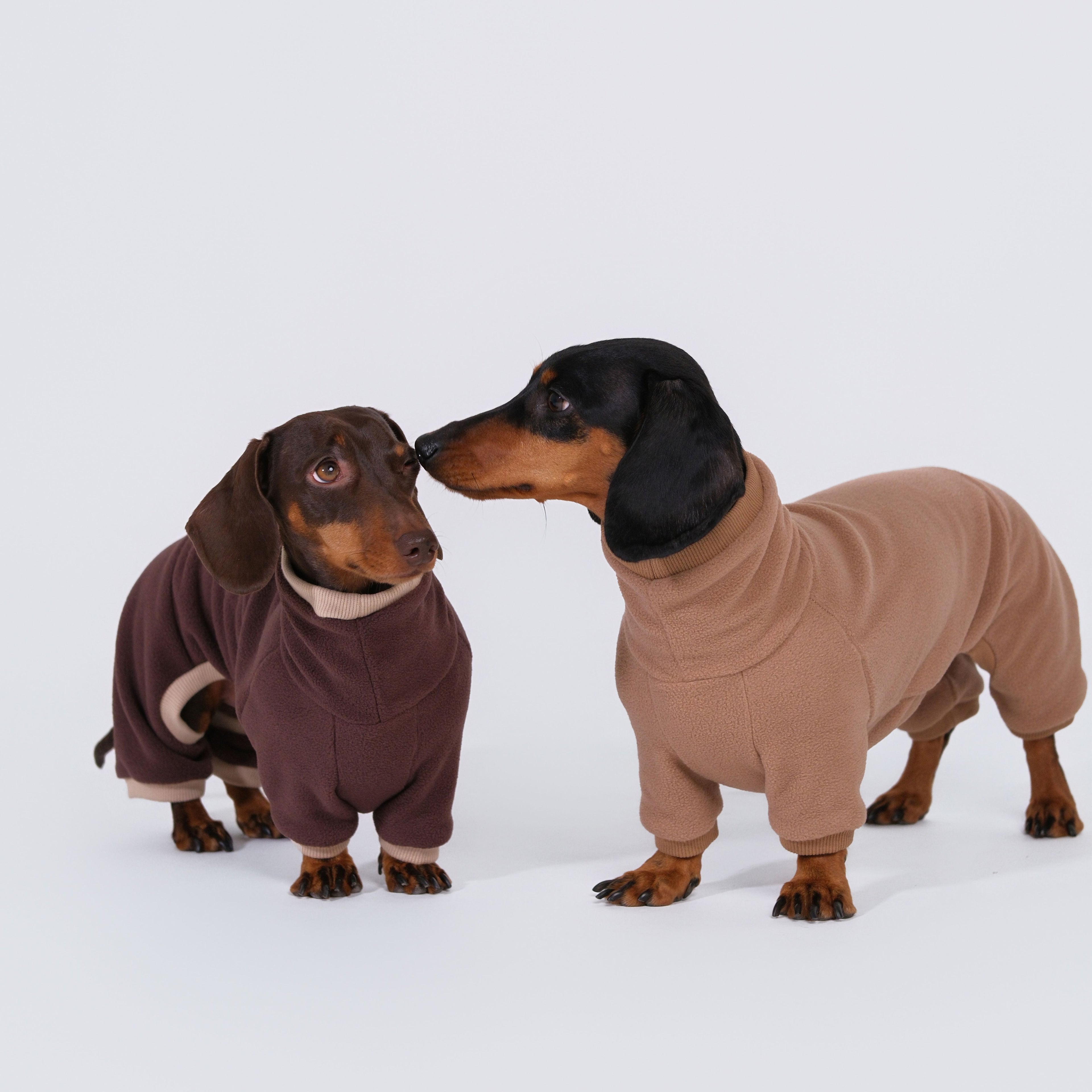 The Aero All-in-One - Mocha