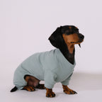 Alpine All-Legs Thermal Suit - Mint