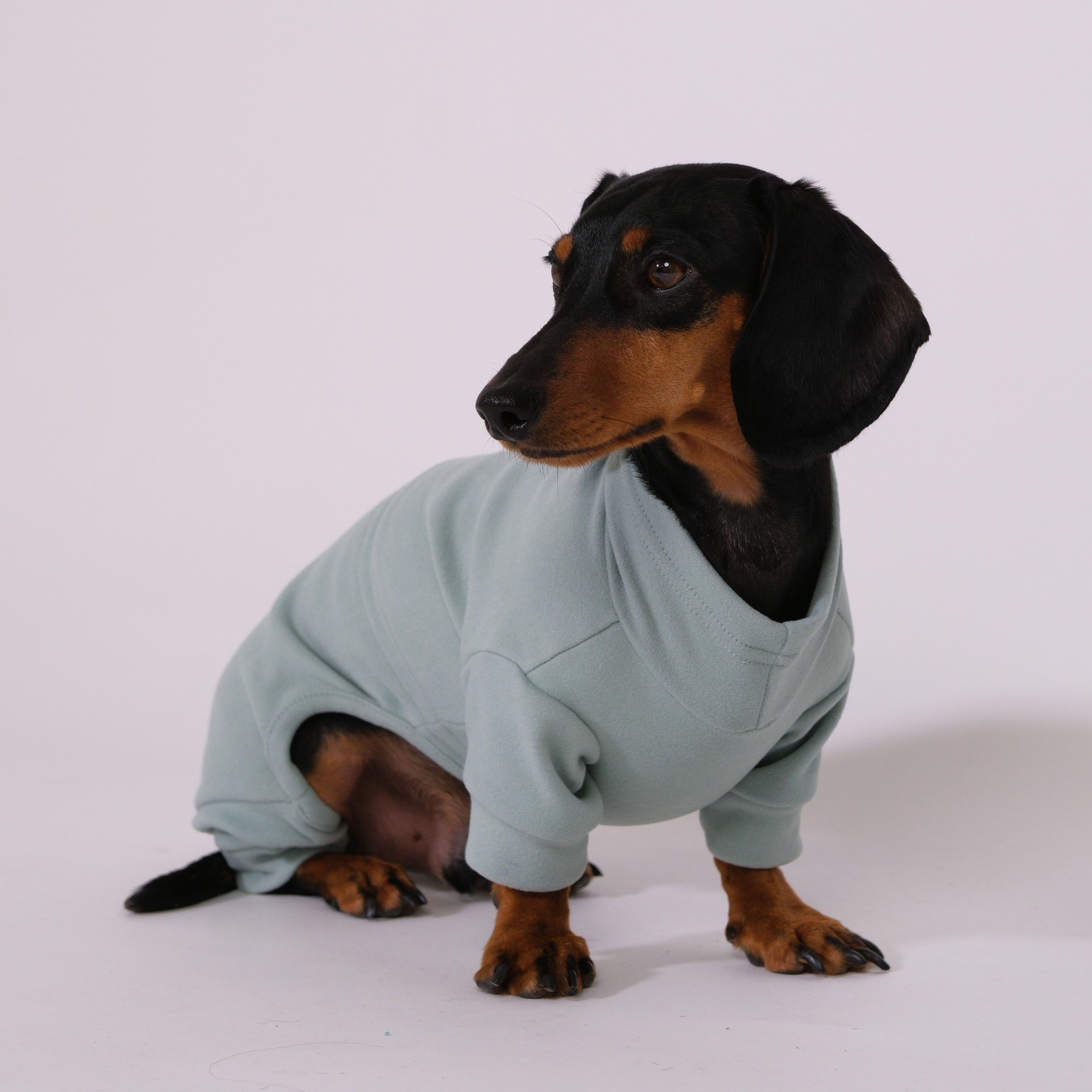 Alpine All-Legs Thermal Suit - Mint