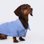 The Dachshund Polo - Cloud