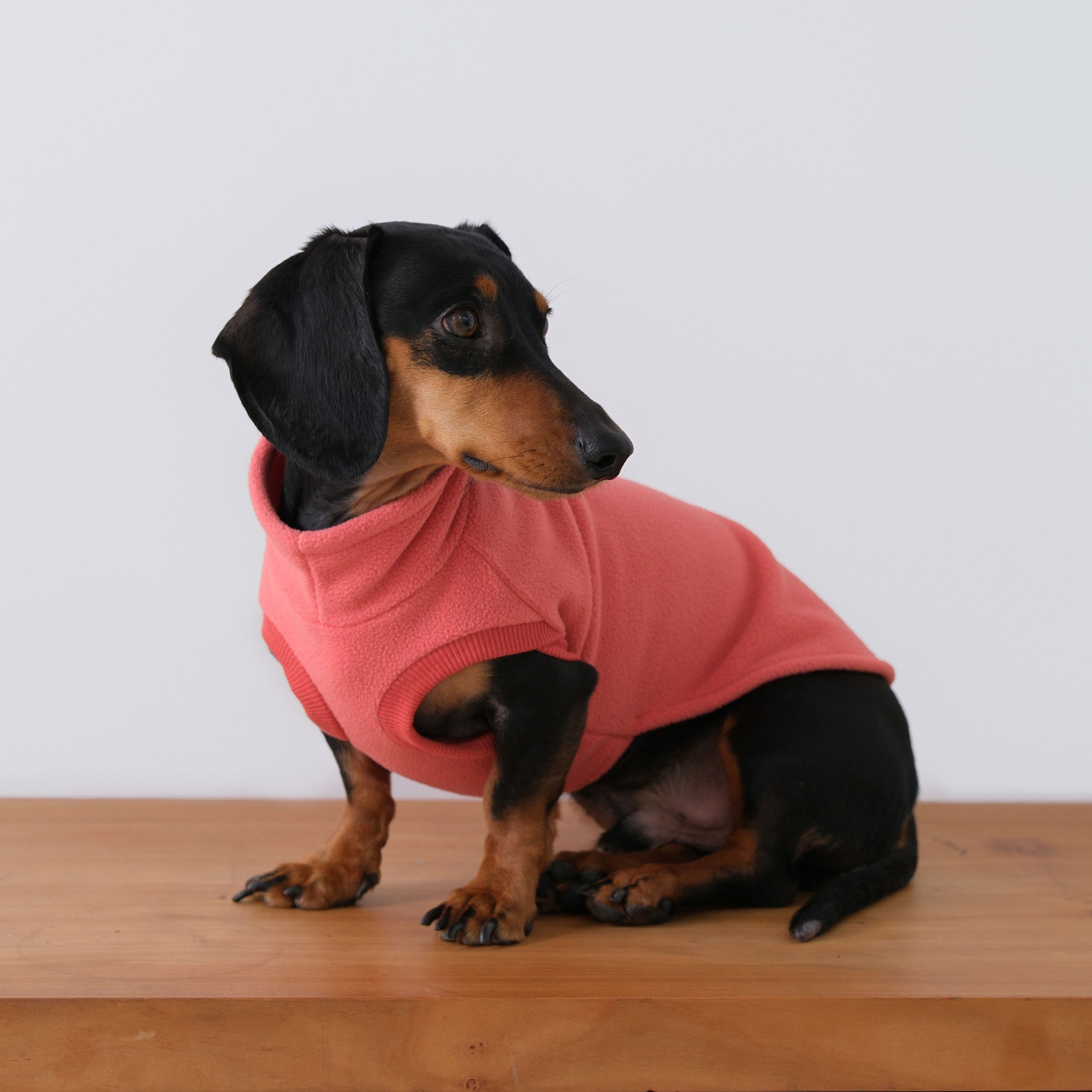 The Long Dog Fleece - Pinkish Orange