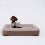 The DachLine Striped Shirt - Ivory