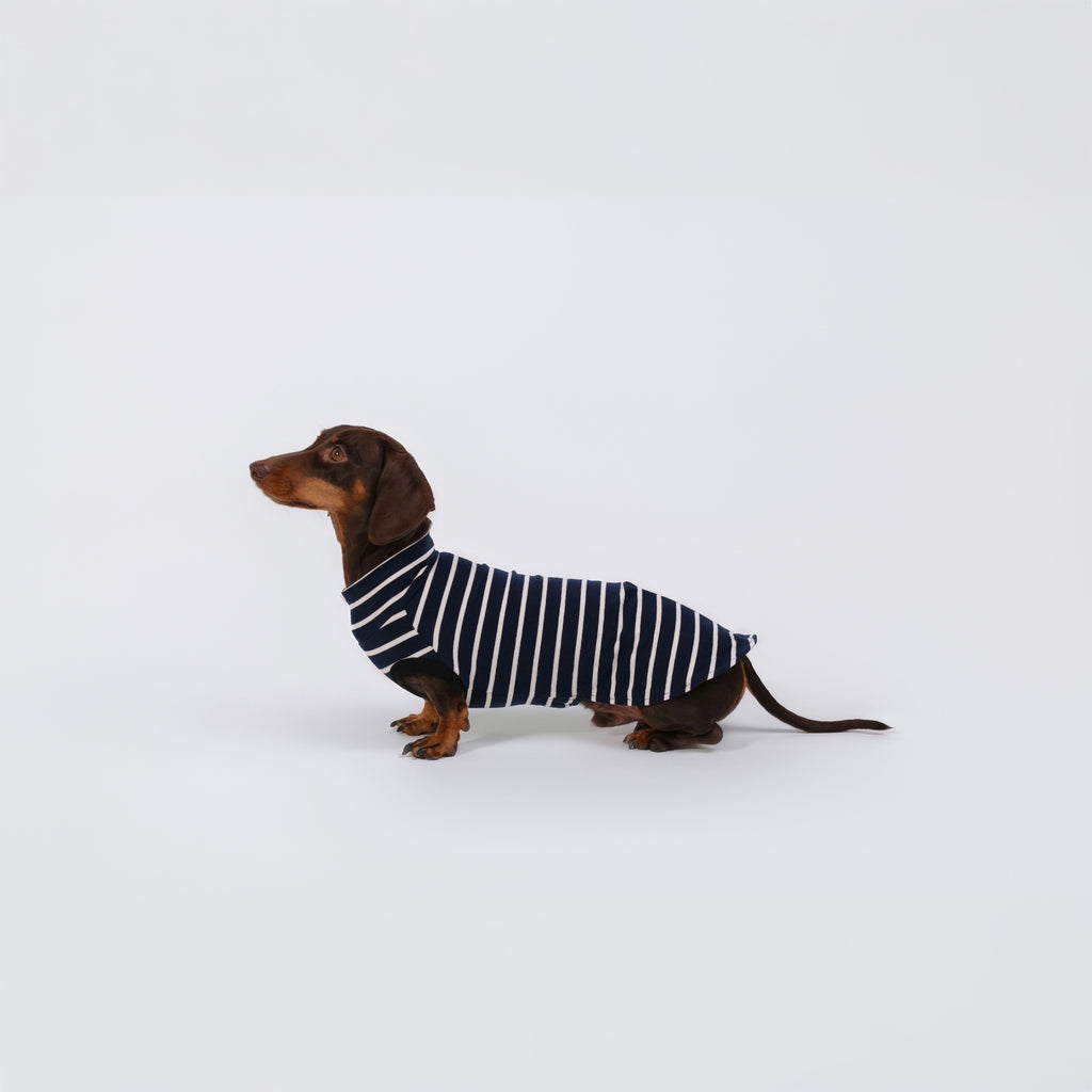 The DachLine Striped Shirt - Navy