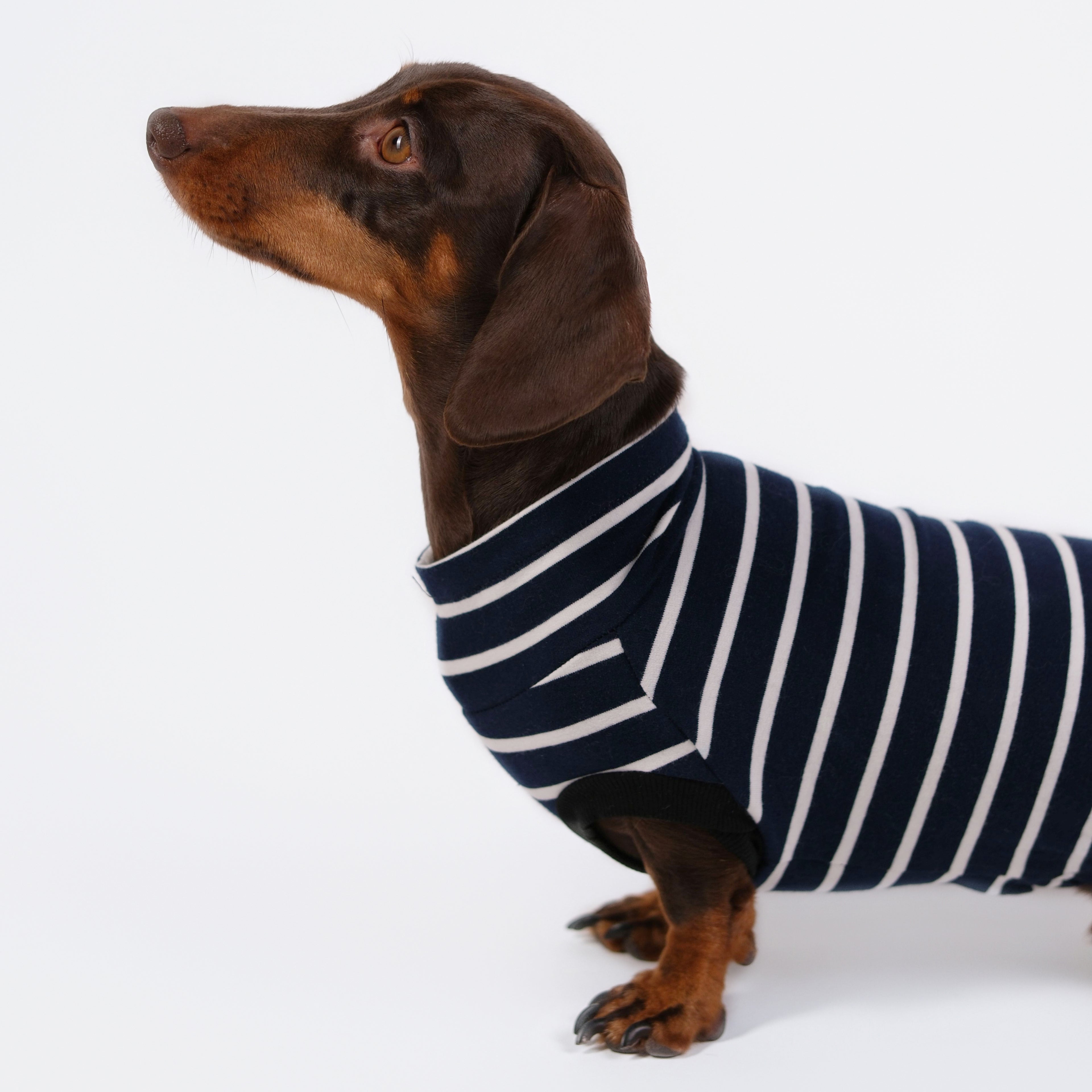 The DachLine Striped Shirt - Navy