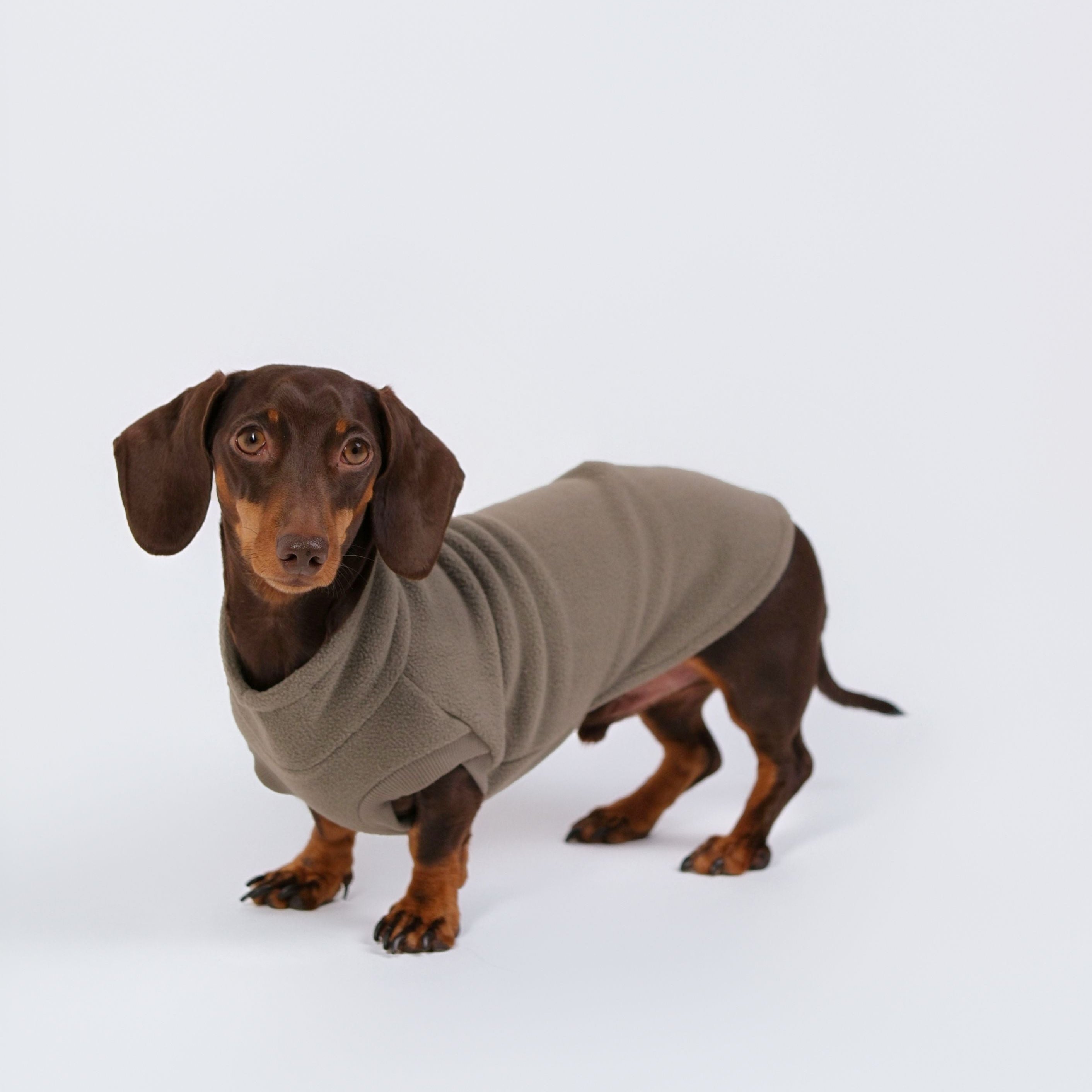 The Long Dog Fleece - Sage Grey