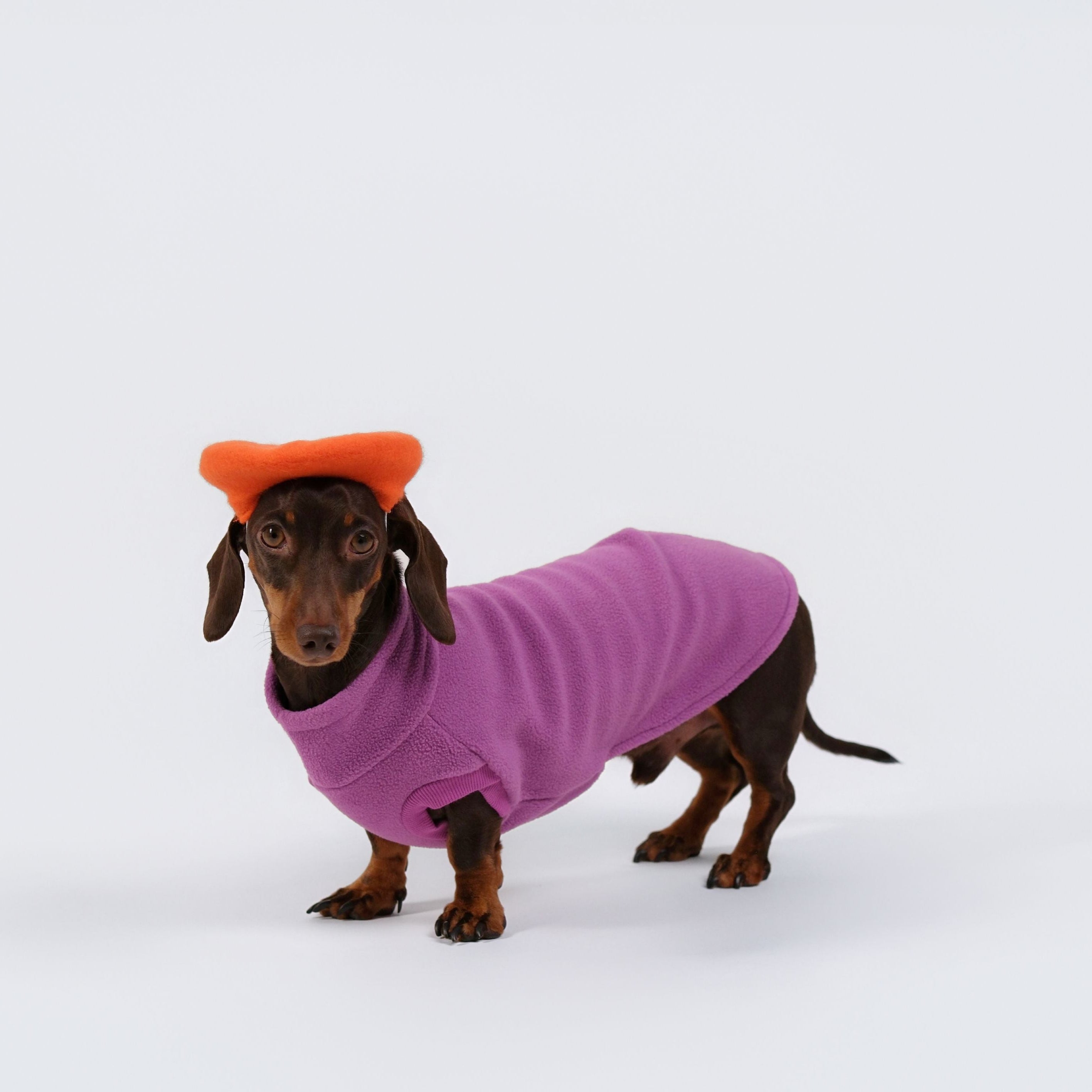 The Long Dog Fleece - Plum