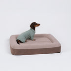 Alpine All-Legs Thermal Suit - Mint