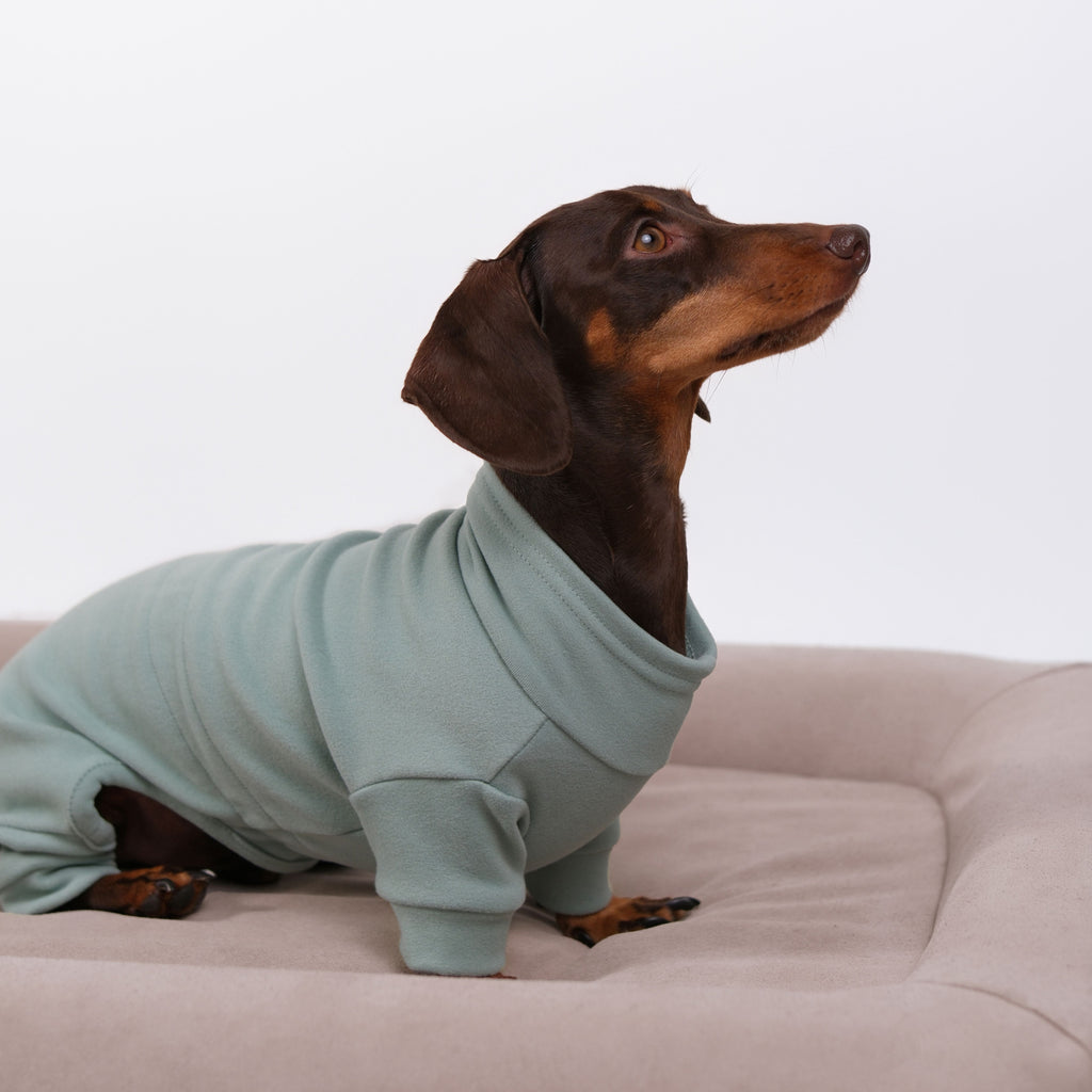 Alpine All-Legs Thermal Suit - Mint