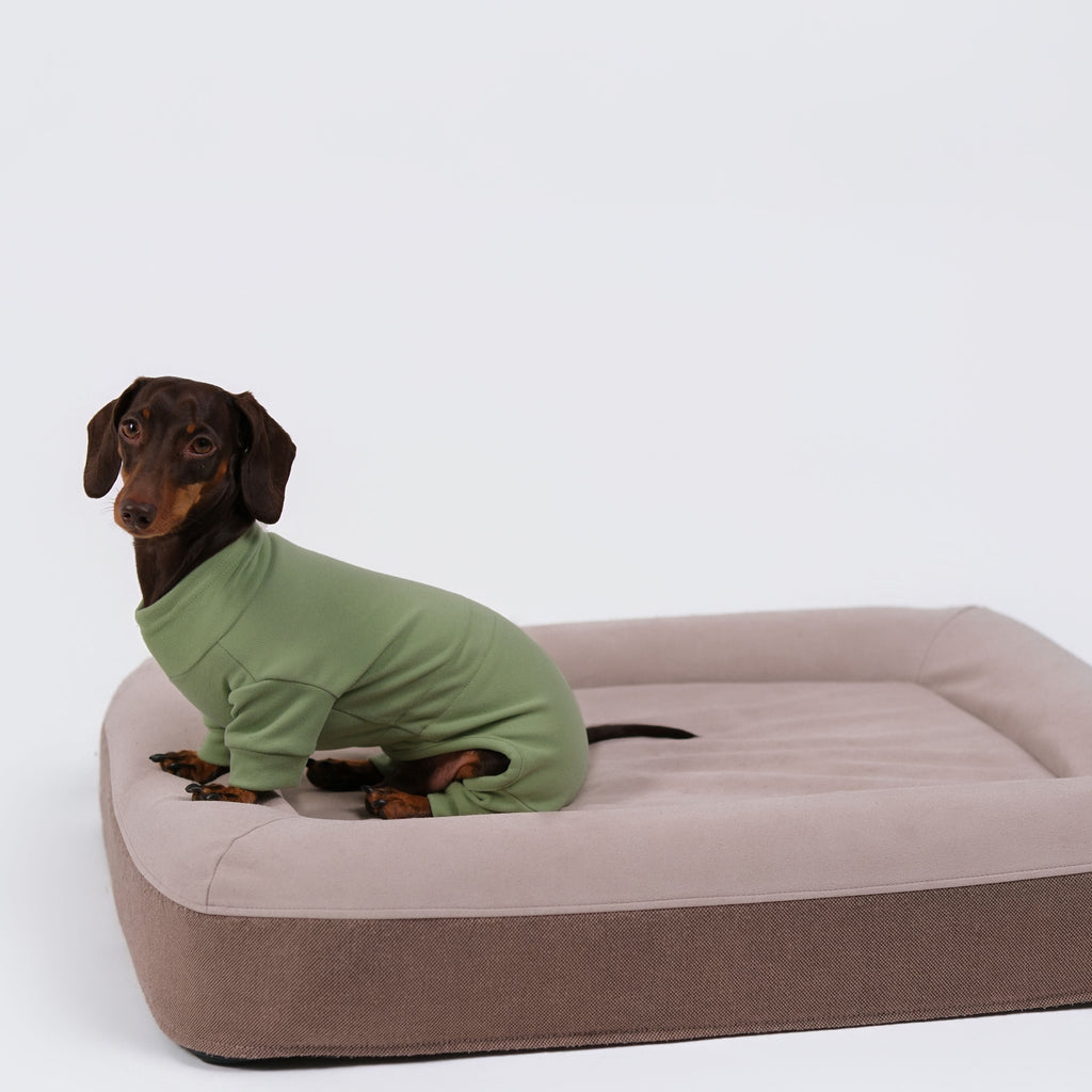 Alpine All-Legs Thermal Suit - Avocado