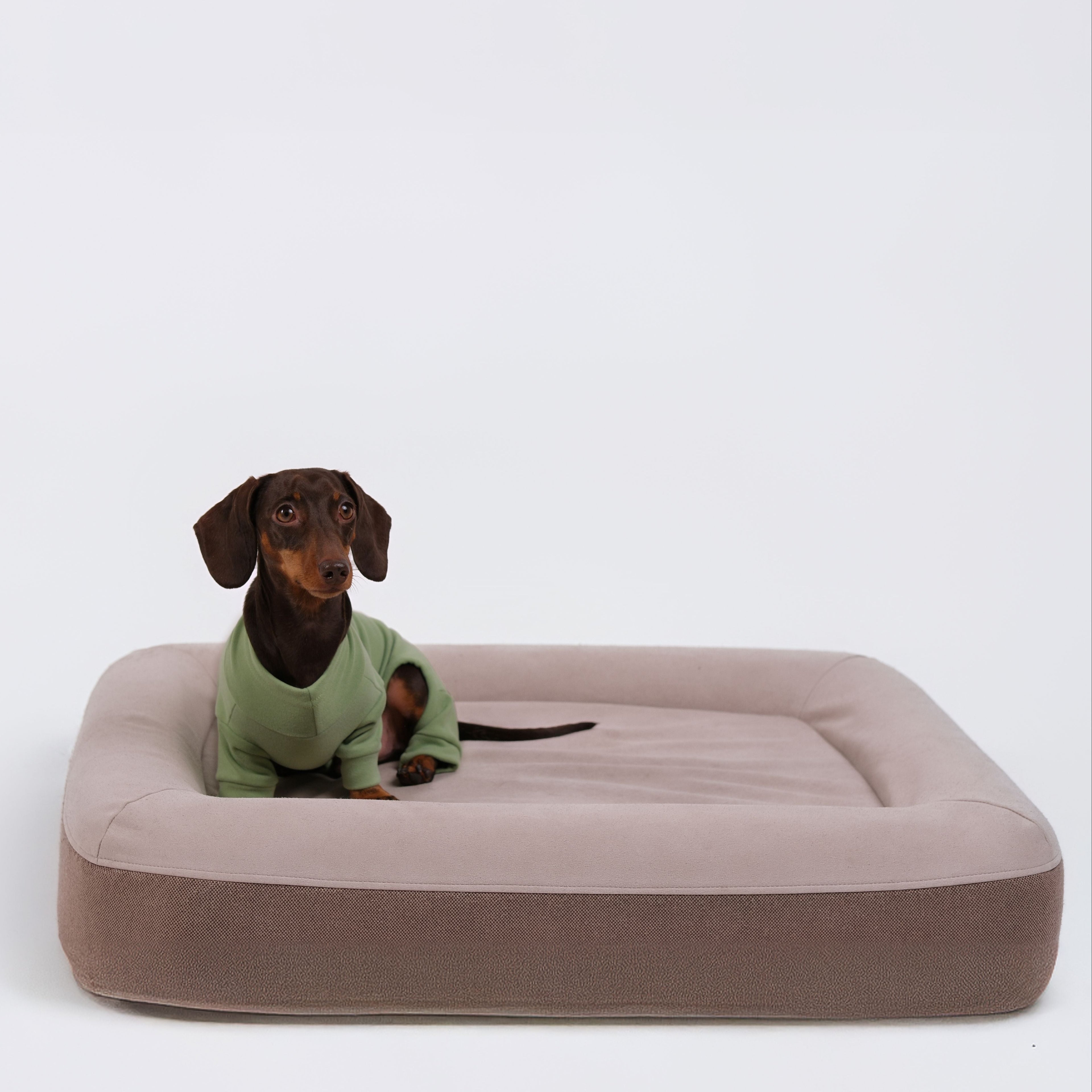 Alpine All-Legs Thermal Suit - Avocado