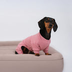 Alpine All-Legs Thermal Suit - Light Blush