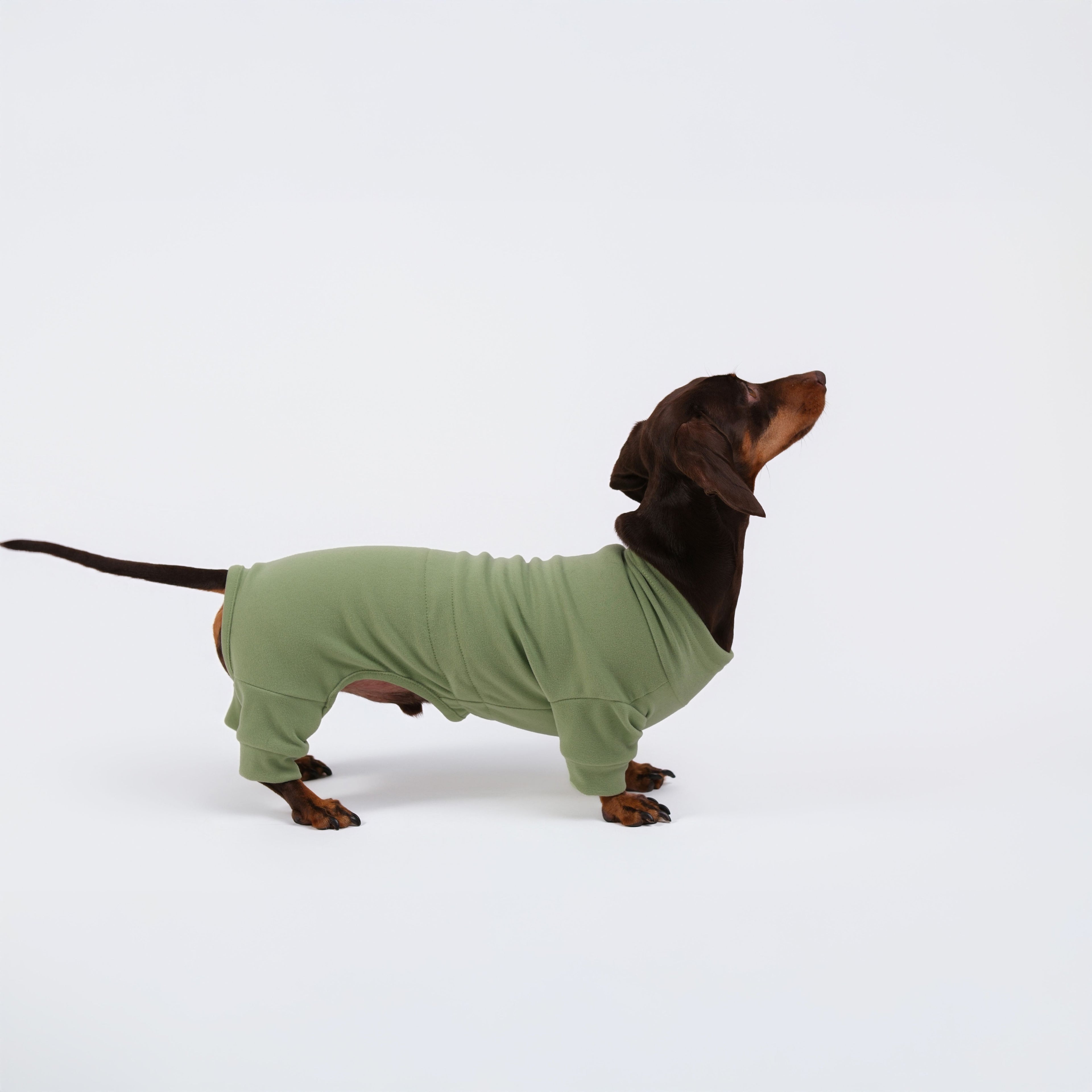 Alpine All-Legs Thermal Suit - Avocado
