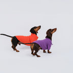 The Dachshund Polo - Tangerine