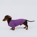 The Dachshund Polo - Velvet Grape
