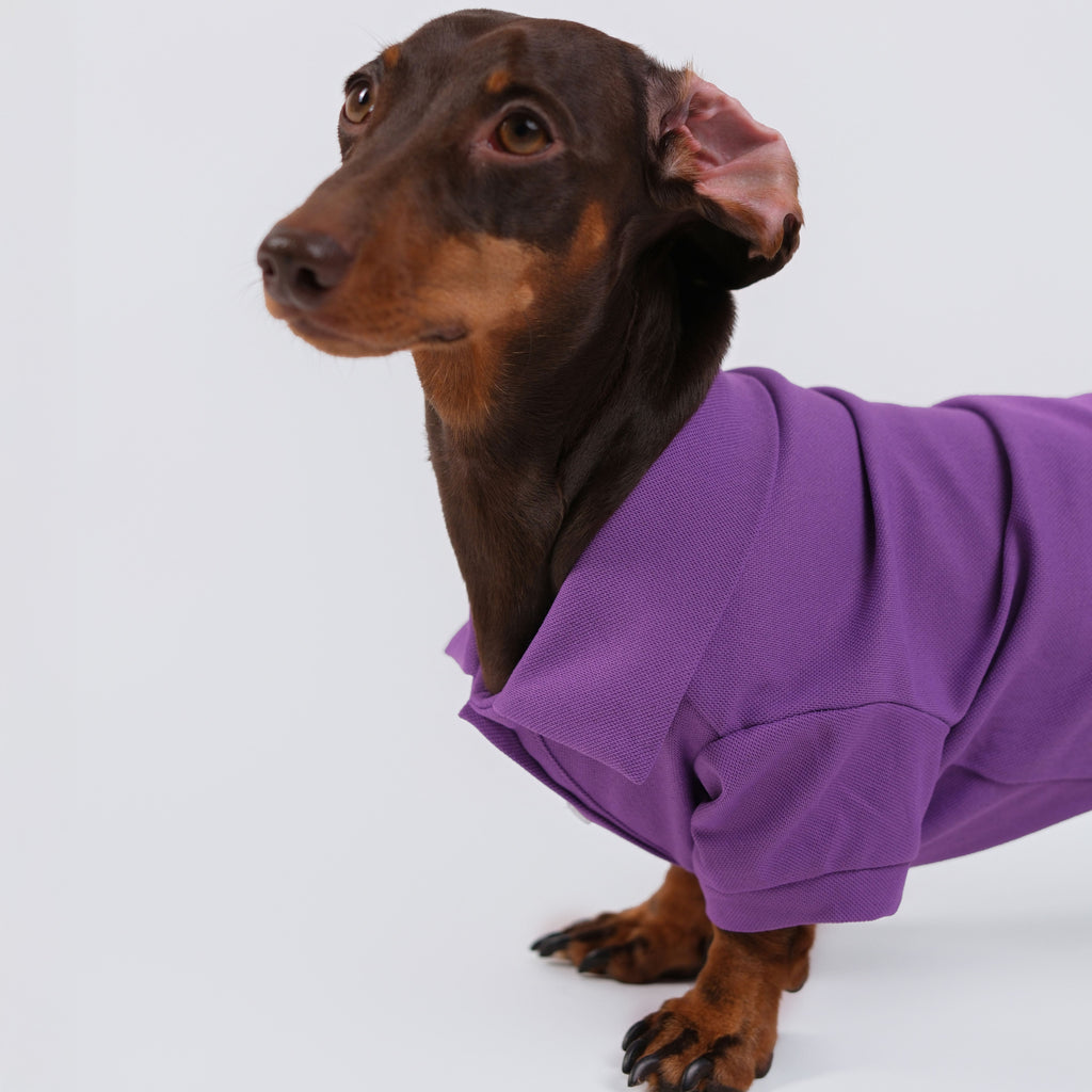 The Dachshund Polo - Velvet Grape