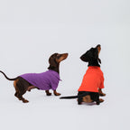 The Dachshund Polo - Velvet Grape
