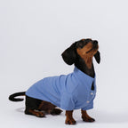 The Dachshund Polo - Cloud