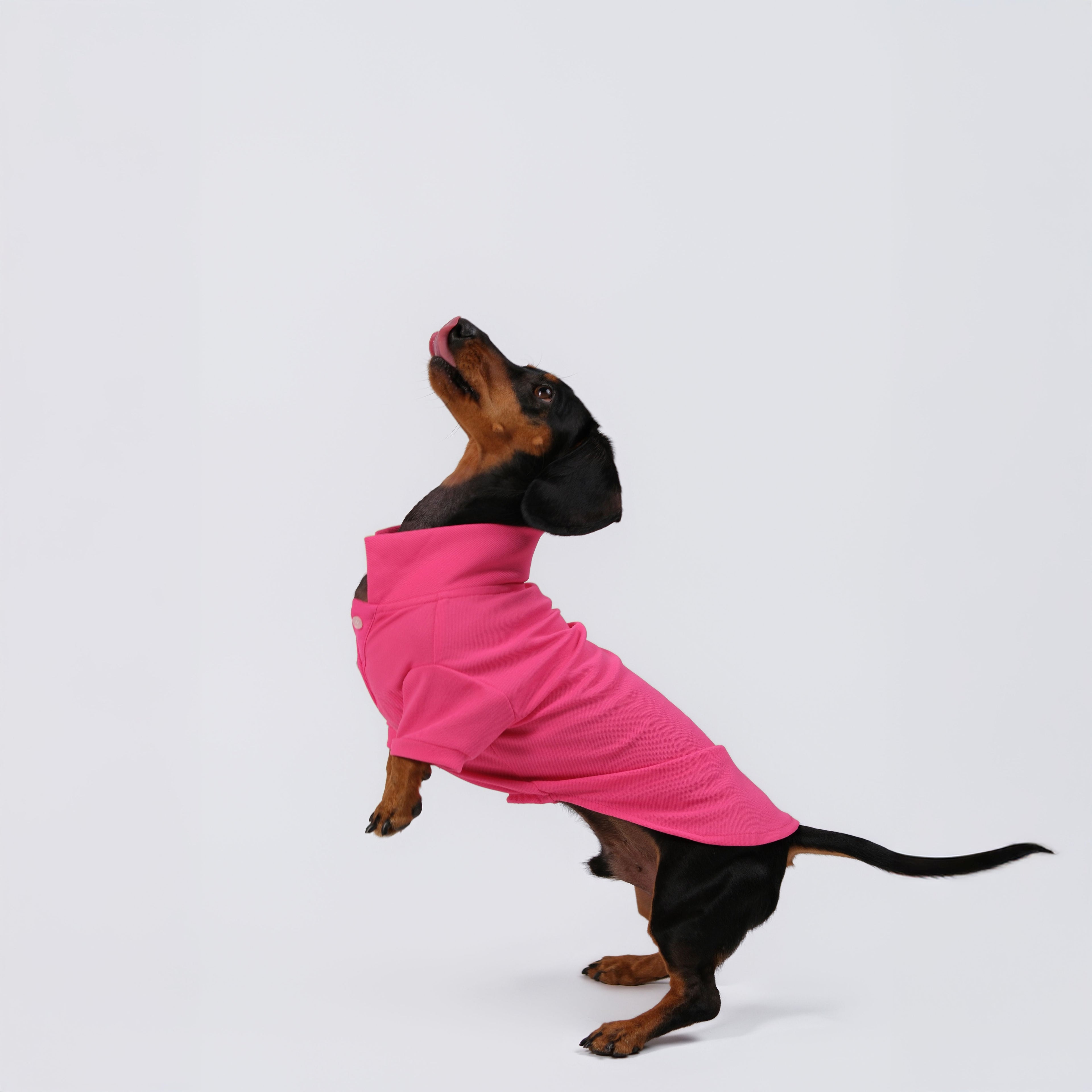The Dachshund Polo - Rose Pink