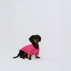 The Dachshund Polo - Rose Pink