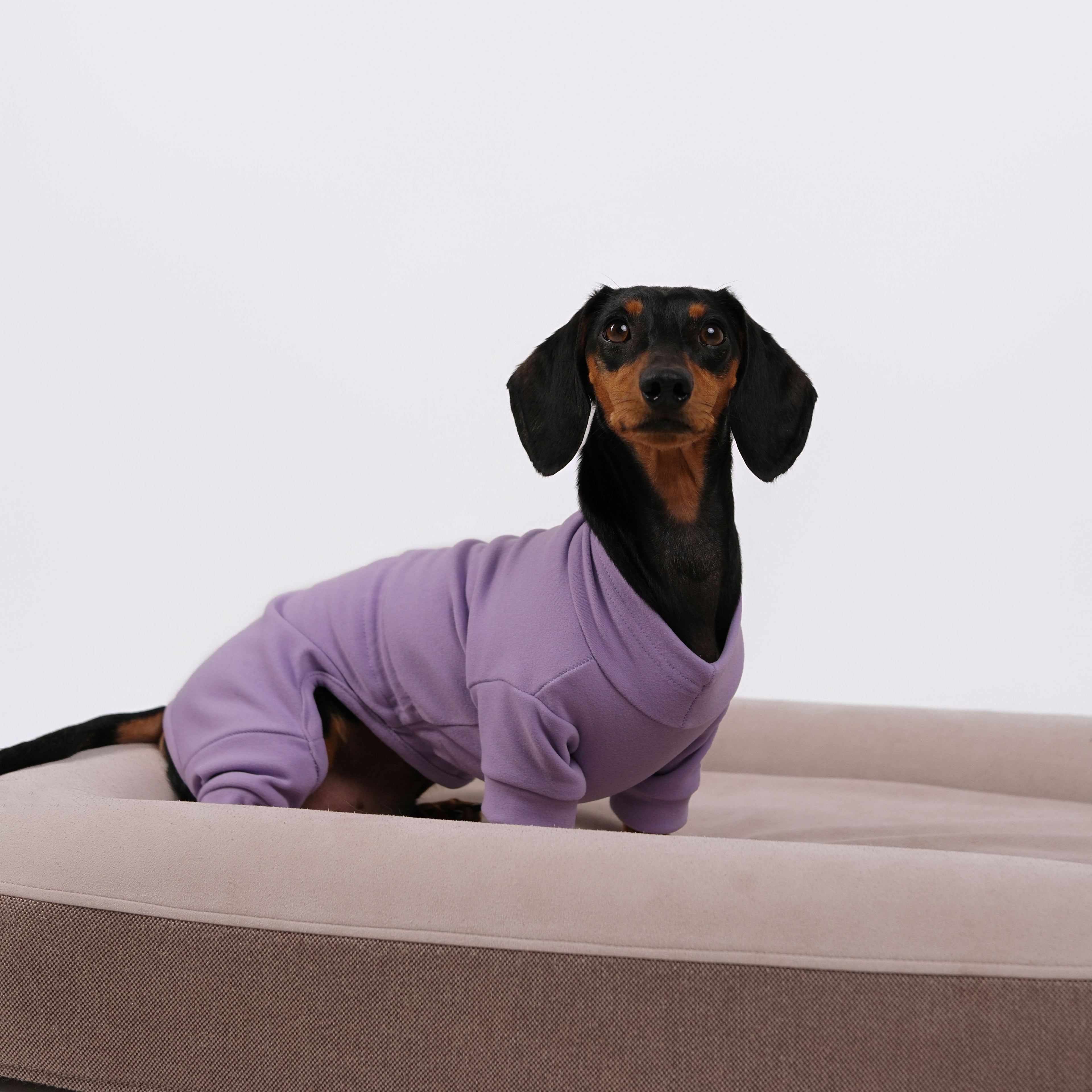 Alpine All-Legs Thermal Suit - Lavender