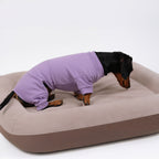 Alpine All-Legs Thermal Suit - Lavender