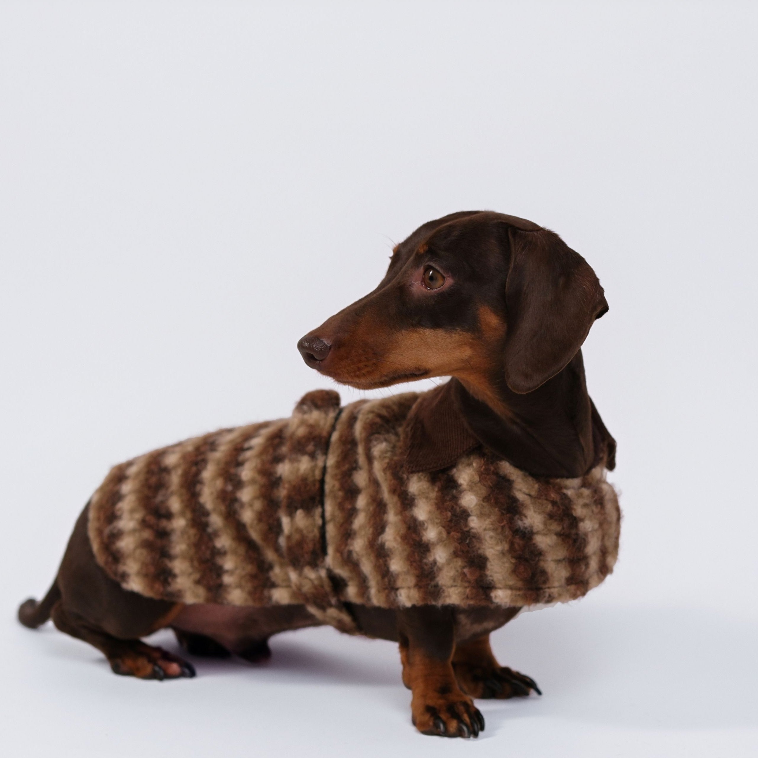 The Highland Coat - Chestnut Glen